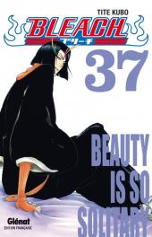 Bleach -37- Beauty is so Solitary