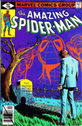 The amazing Spider-Man Vol.1 (1963) -196- Requiem!