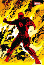 Daredevil par Frank Miller -1VC- Daredevil  : Companion
