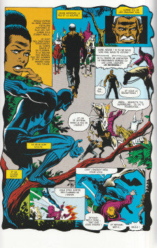 Extrait de Black Panther (L'intégrale) -2- 1976-1978