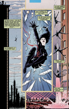 Extrait de Catwoman Vol.2 (1993) -AN02- Annual 1995 - Year One