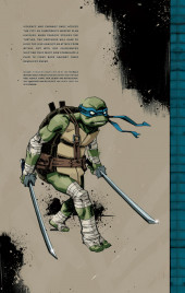 Verso de Teenage Mutant Ninja Turtles (IDW collection) -INT03- TMNT IDW Collection #3